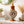 Wild Muse Dekoratif Obje