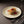 Pallene Flat Plate - 17 cm