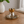 Bosphorus Gold Tea Cup